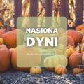 Nasiona dyni | Jakie wybrać i gdzie kupić? 