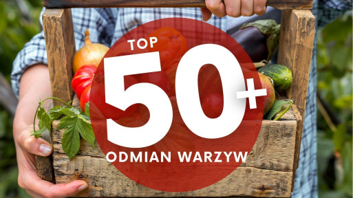 TOP 50+ odmian warzyw, które warto wysiać w ogrodzie