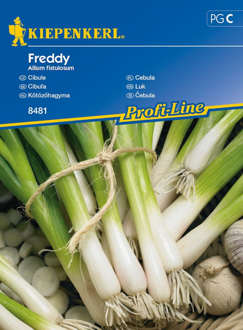 Nasiona cebuli siedmiolatki odmiana 'Freddy'