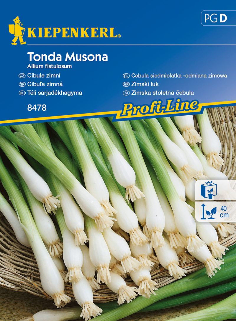 Nasiona cebuli siedmiolatki odmiana 'Tonda Musona'