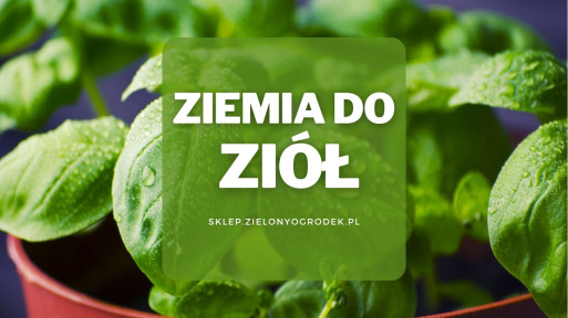 Ziemia do ziół | Jaką wybrać i gdzie kupić? 