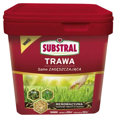 Trawa renowacyjna 5kg