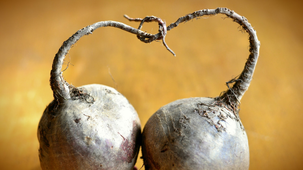 burak na co pomaga i jak stosować fot. congerdesign Pixabay