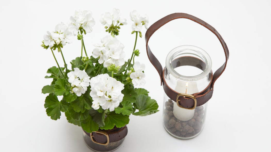 Klimatyczny lampion ogrodowy - fot. Pelargonium for Europe