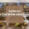 Myjki wysokociśnieniowe w ogrodzie. Do czego się przydają i jaki model wybrać?
