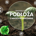 Mikroorganizmy w uprawie roślin | Innowacyjne podłoża ogrodnicze