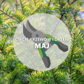 Co ciąć w maju? | Przycinanie drzew i krzewów