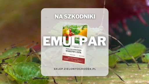 Emulpar – naturalny preparat do ochrony roślin przed szkodnikami