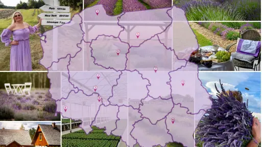 Ogrodowa mapa Polski (część 3) – edycja lawendowa | 10 ciekawych miejsc do zobaczenia
