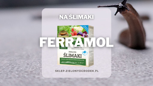 Ferramol – pogromca ślimaków