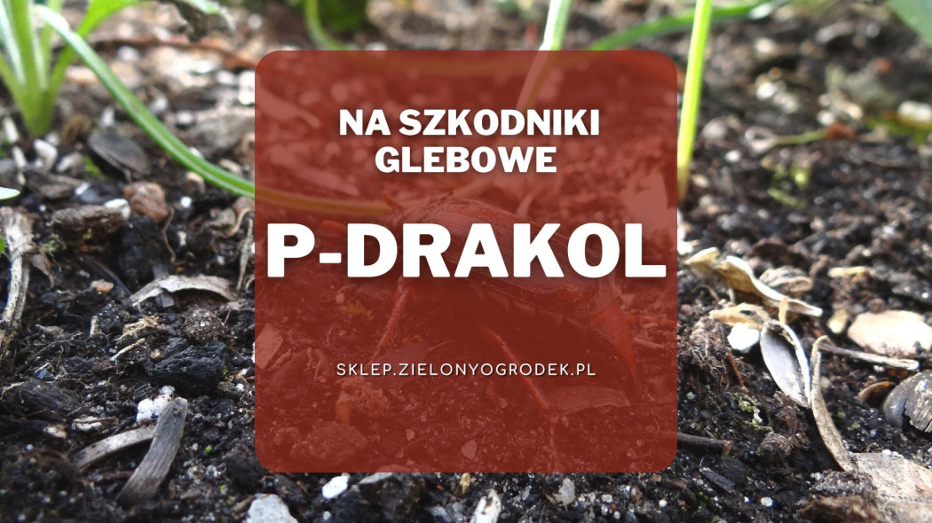 P-Drakol preparat na grozne szkodniki glebowe
