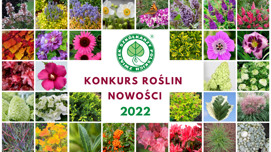 Konkurs Roslin Nowosci 2022