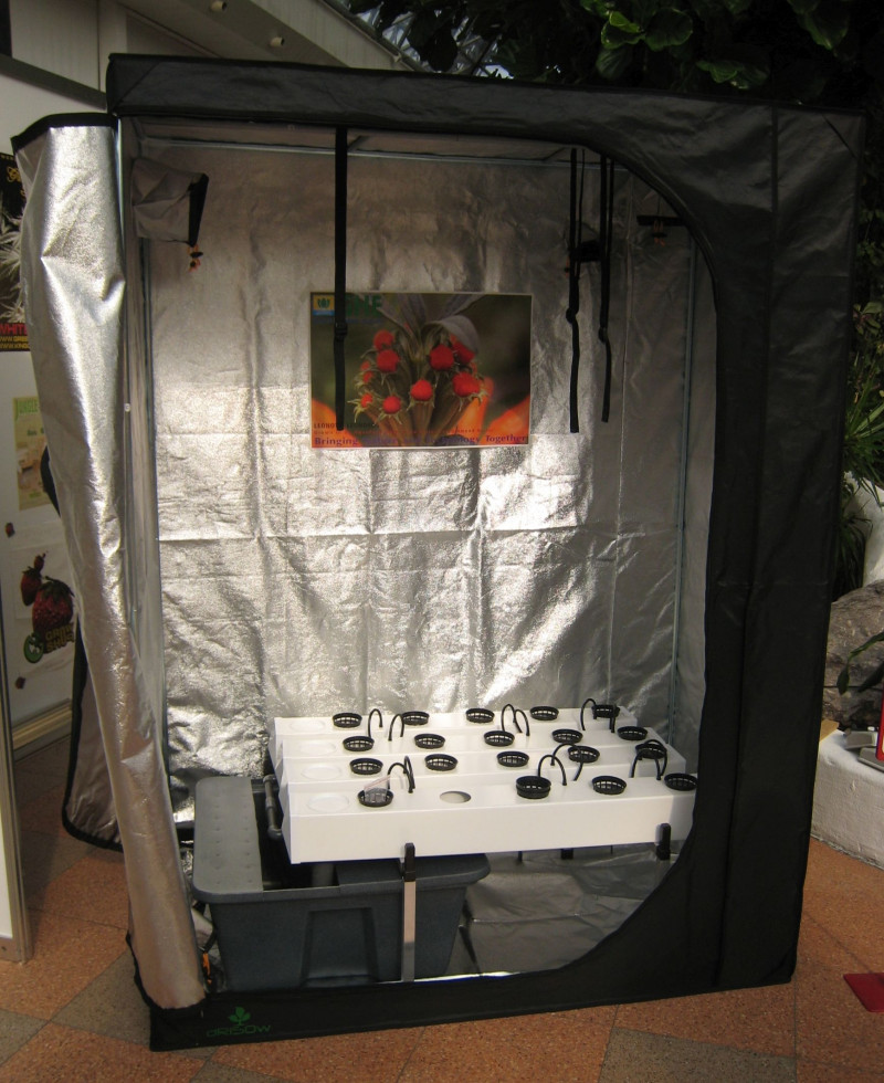 Uprawa w growboxie fot. Wikimedia Commons