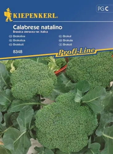 Nasiona brokuła