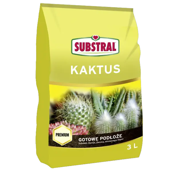 Ziemia do kaktusów i sukulentów