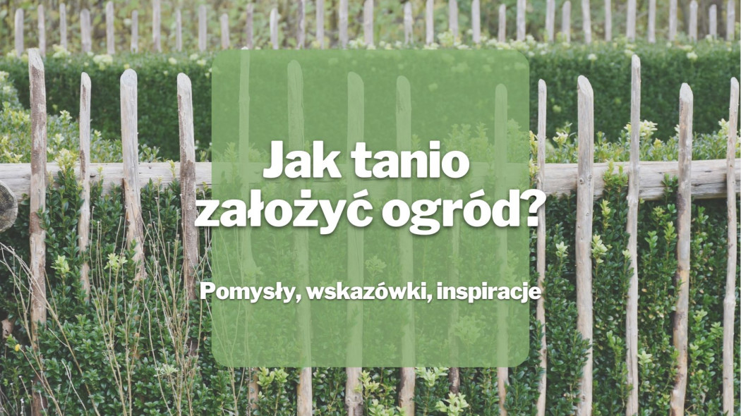 Jak tanio zalozyc ogrod