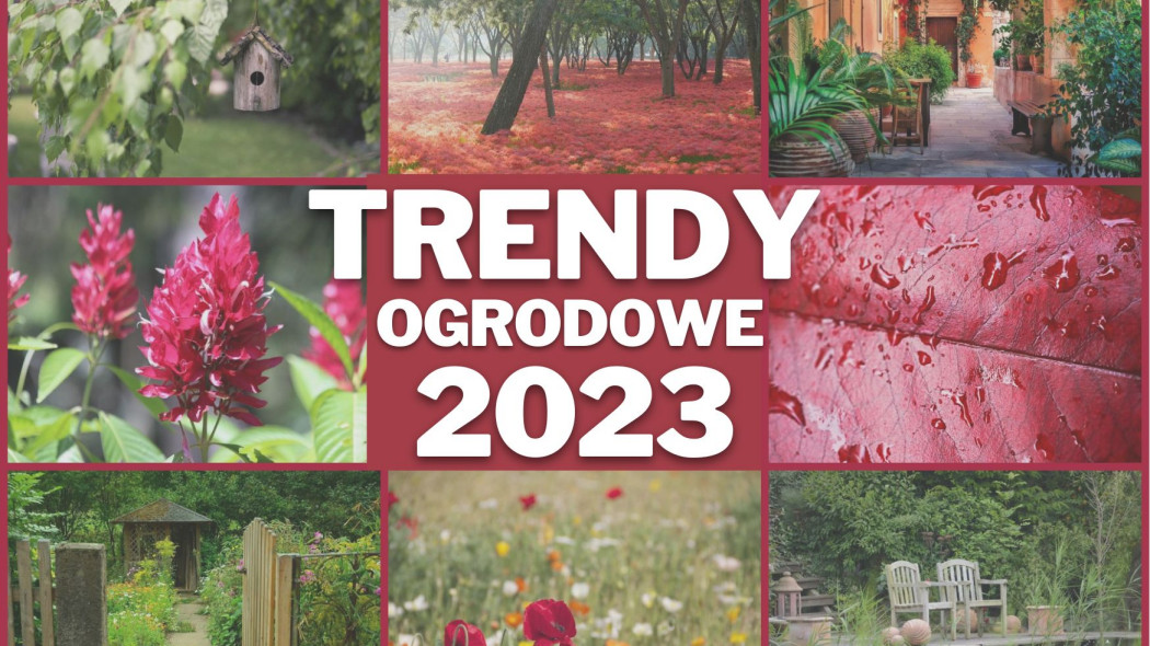 Trendy ogrodowe na 2023 rok