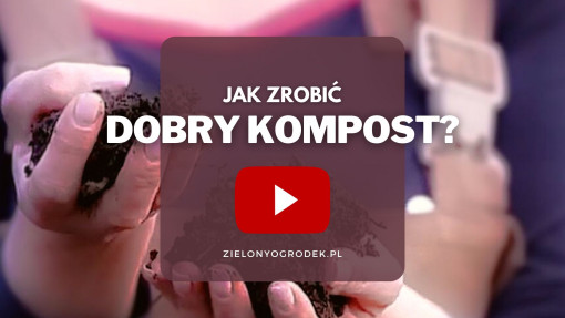 FILM: Jak zrobić dobry kompost?