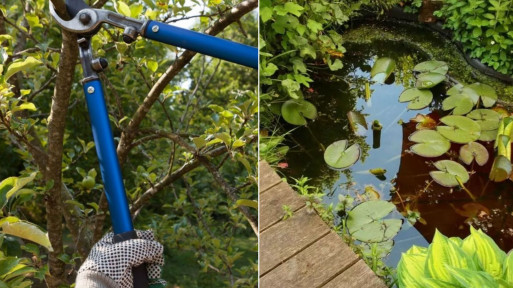 Wiosenna pielęgnacja ogrodu | 2 najważniejsze zabiegi na początek sezonu