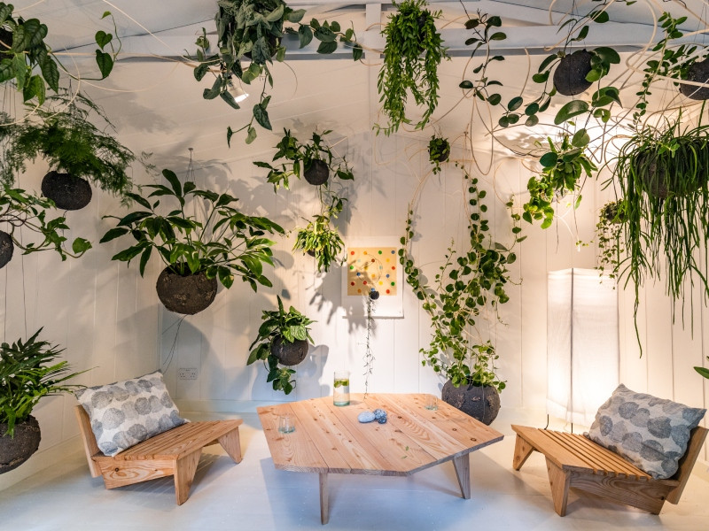 inspiracje z Chelsea Flower Show 2022 - A Room to Dance fot. Bożka Piotrowska