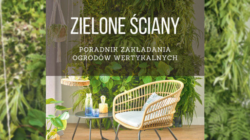 Zielone ściany i ogrody wertykalne – jak wprowadzić zieleń na małej przestrzeni?