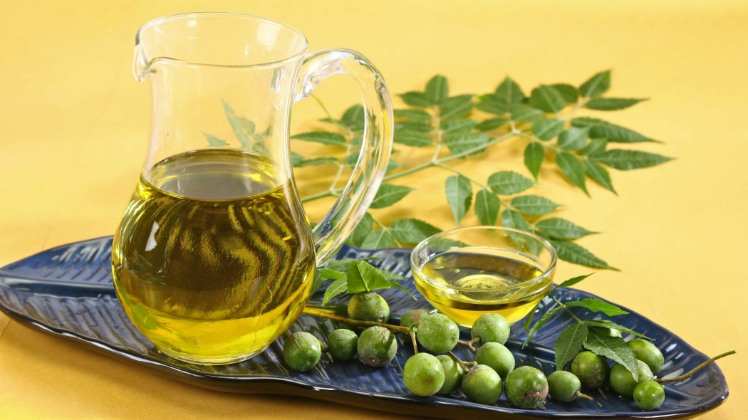 Olejek neem do roslin Co to jest i jak go stosowac, fot. aakriti - AdobeStock