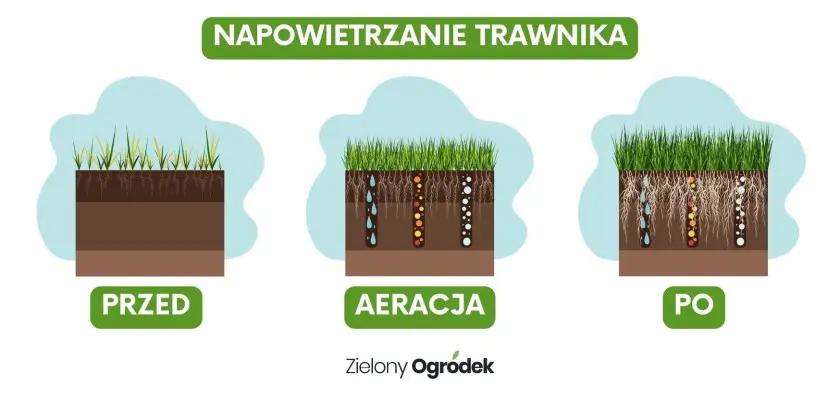 Napowietrzanie trawnika