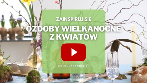FILM: Ozdoby wielkanocne z kwiatów | Szybkie i efektowne