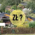 Ile kosztują działki w ROD? Czy warto kupić? Co warto wiedzieć przed wyborem i zakupem działki?