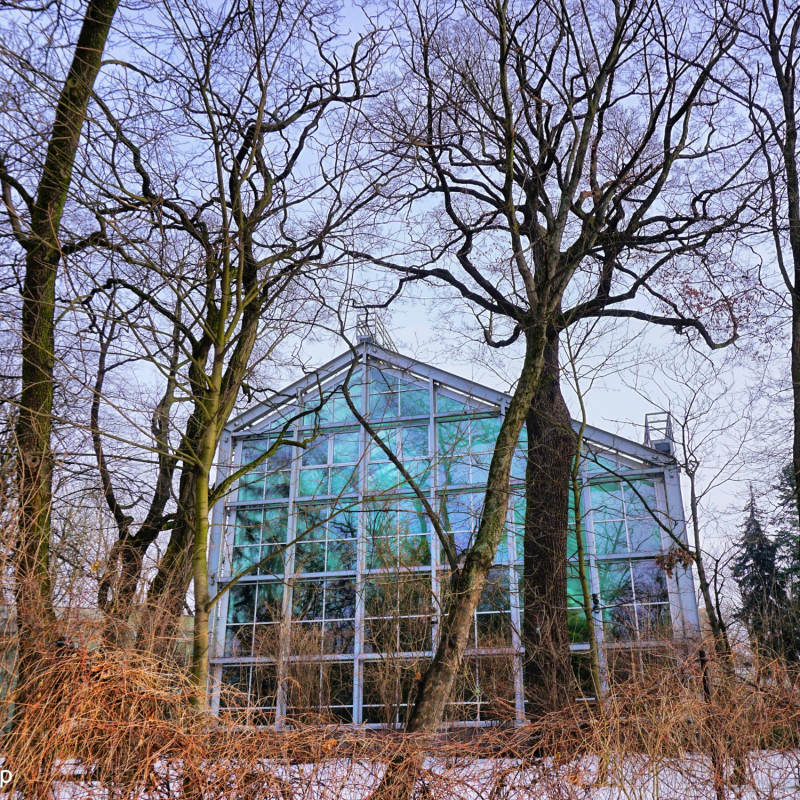 Palmiarnia Ogrodu Botanicznego w Łodzi