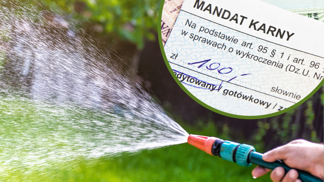 Zakaz podlewania ogrodu - mandat kara grzywna susza