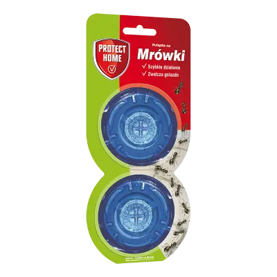 Pułapka na mrówki