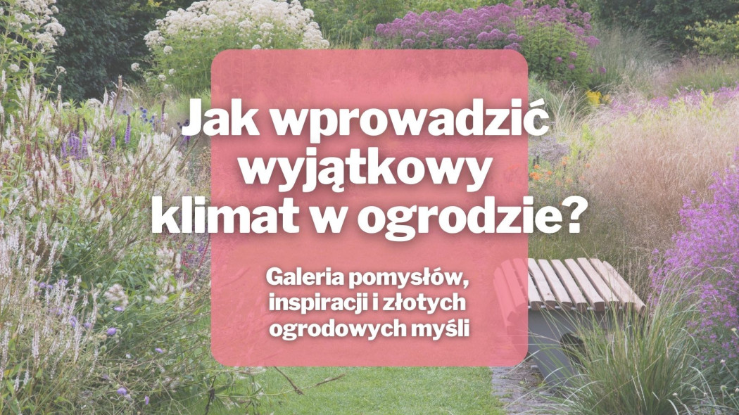 klimatyczny ogrod 