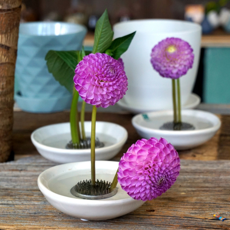 Styl botaniczny urban jungle - klasycznie
