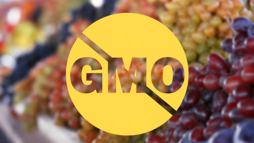GMO czy nie? Poznaj prawdę o winogronach bez pestek. Ja jem bez obaw