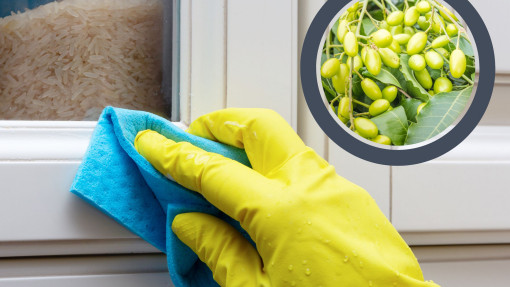 Ten naturalny składnik wchłonie uporczywy tłuszcz jak gąbka z szafek kuchennych. Zapomnijcie o kwasku 