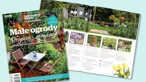 "Małe ogrody projekty i aranżacje" – zobacz wydanie specjalne magazynu Gardeners' World Edycja Polska. Zajrzyj do środka!