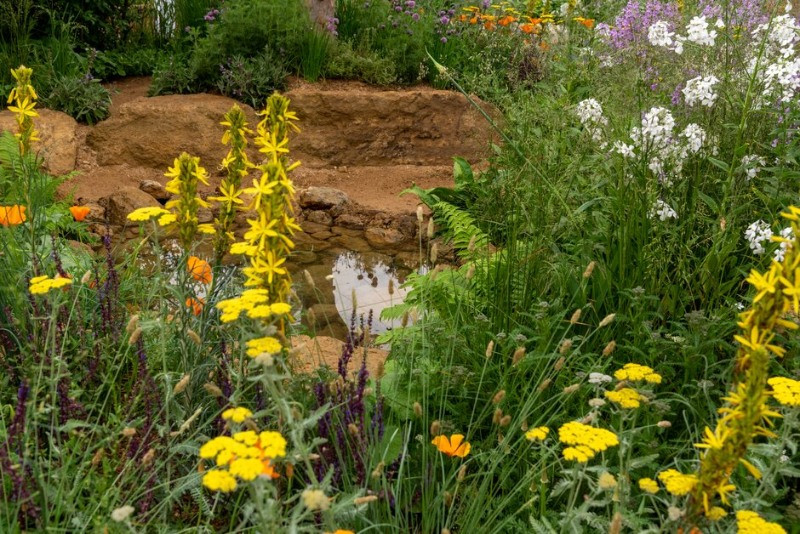 Ogród School Food Matters Garden 