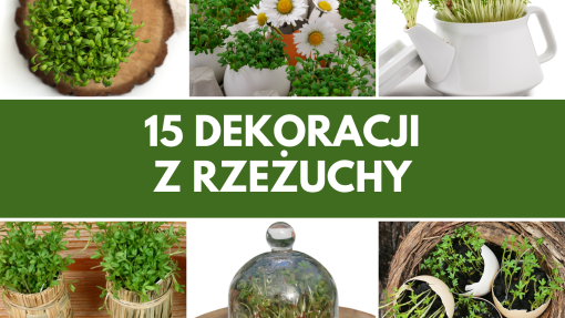 15 dekoracji z rzeżuchy na Wielkanoc | Zaskocz swoich gości i postaw je na świątecznym stole 