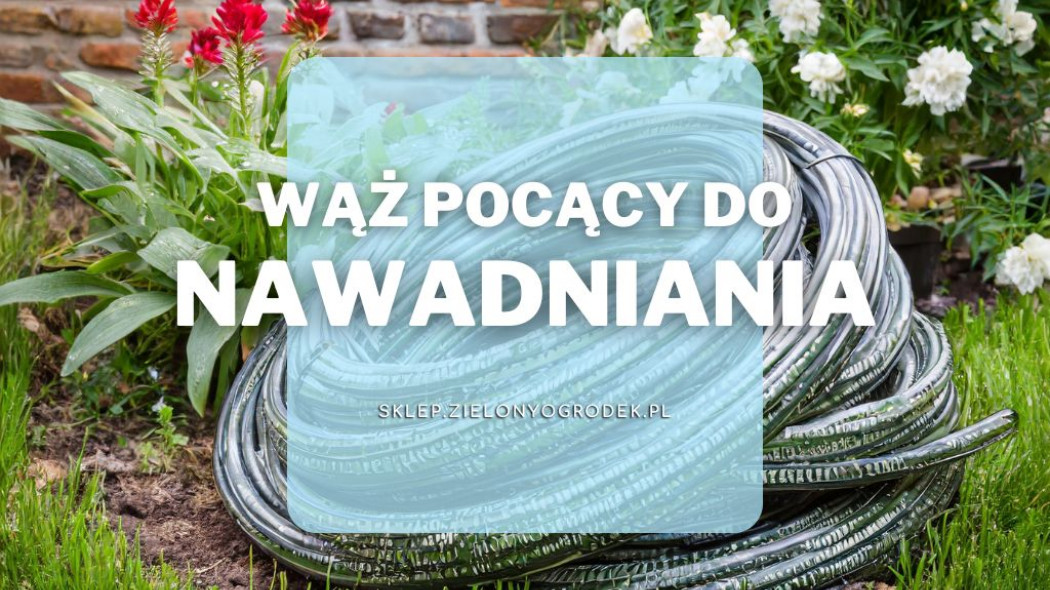 Wąż nawadniający pocący. Jaki wybrać i gdzie kupić
