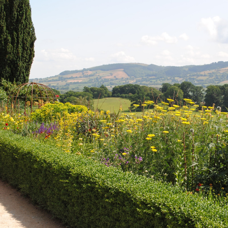 Powis Castle – kolorowe rabaty ozdobne i widok na okolicę