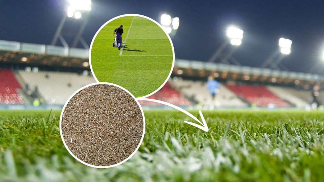 Z czego składa się idealna murawa stadionowa