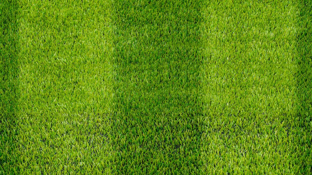 Trawnik jak murawa piłkarska na stadionie. Tak zrobisz dwukolorowe pasy