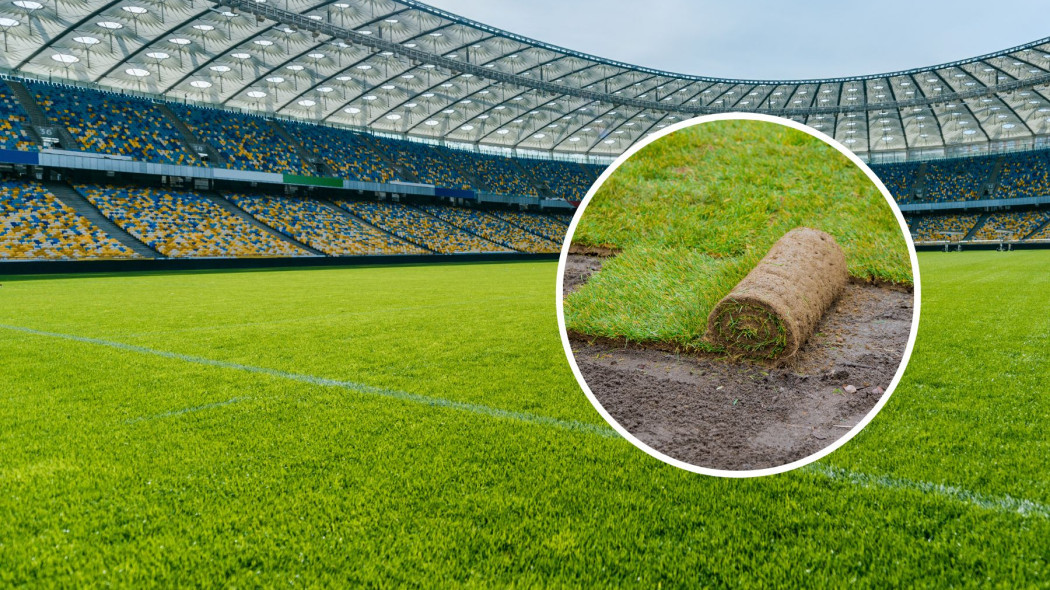 Trawa na stadionach