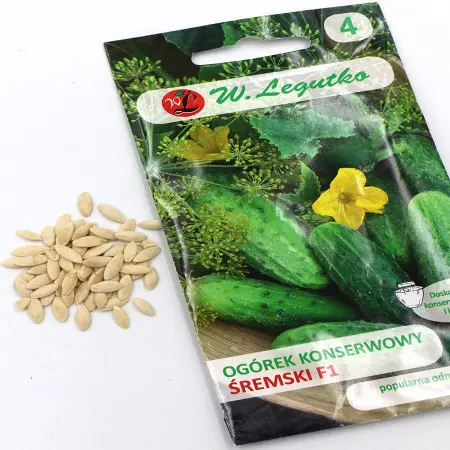 Nasiona ogórka śremskiego