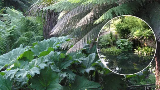 Heligan | Zaginione ogrody Kornwalii