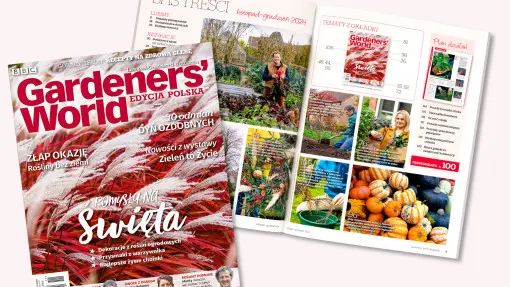 Już jest nowy Gardeners` World Polska – Listopad-Grudzień 2024 | Zimowe inspiracje i pomysły na prezenty