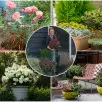 Pelargonie w nowej odsłonie. 26 pomysłów na balkon w sezonie 2026