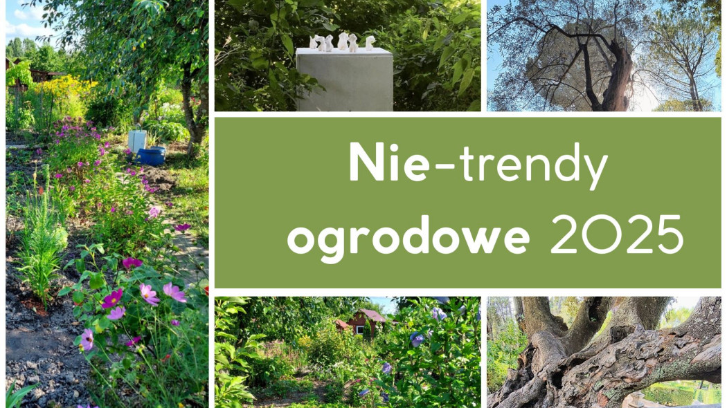 nie-trendy ogrodowe 2025
