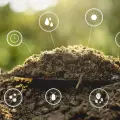 Naturalne nawożenie gleby | Co, jak i kiedy stosować?